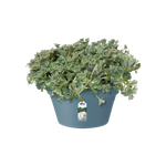 loft urban schale 35cm vintage blau